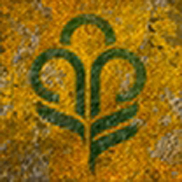 Destiny 2 Together in Contribution Emblem