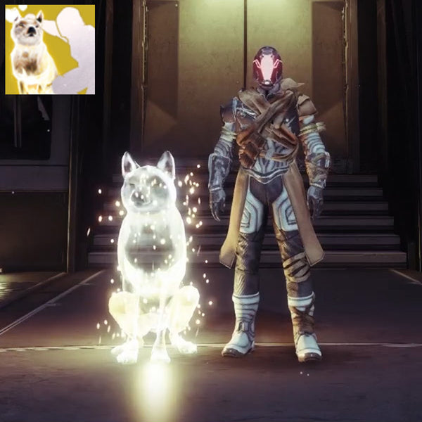 Destiny 2 - Loyal Companion Emote - Code Only – Destiny Emblems